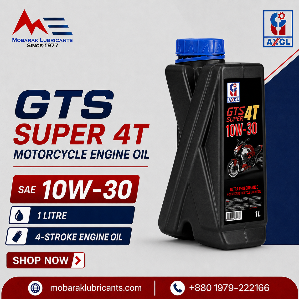 GTS 4T SAE 10W30
